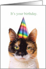 Birthday Grumpy Cat with Party Hat card