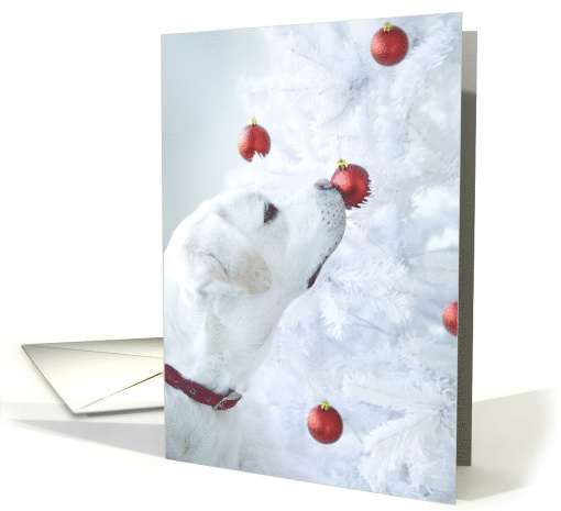 Christmas White Labrador Retriever card (1590538)