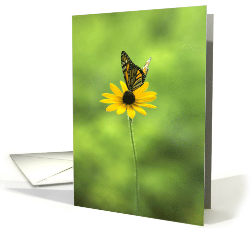 Any Occasion Blank Monarch Butterfly on Black Eyed Susan Flower card