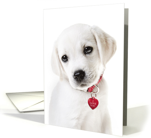 Valentine's Day Lab Puppy With Red Heart Dog Tag card (1592750)