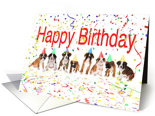 Happy Birthday from the Gang-Boxer Puppies card (1593580)