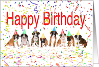Happy Birthday from the Gang-Boxer Puppies card