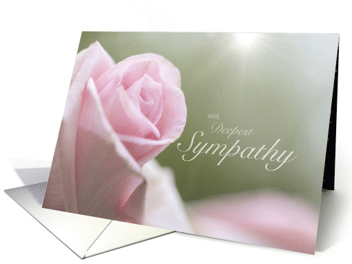 With Deepest Sympathy Pink Rose with Heavenly Rays card (1724462)