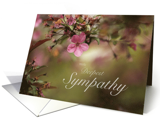 With Deepest Sympathy Cherry Blossoms card (1724564)