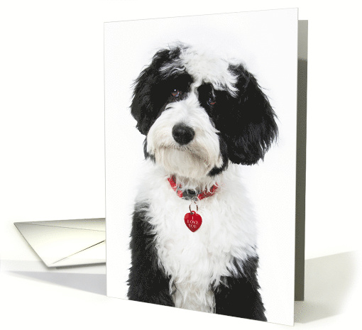 Valentine's Day Doodle Puppy With Red Heart Dog Tag card (1756546)