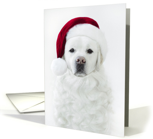 Christmas Labrador retriever with Santa Hat and Beard card (1817108)