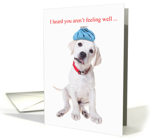 Get Well Soon Cute Labrador Puppy with Ice Bag card (1823754)