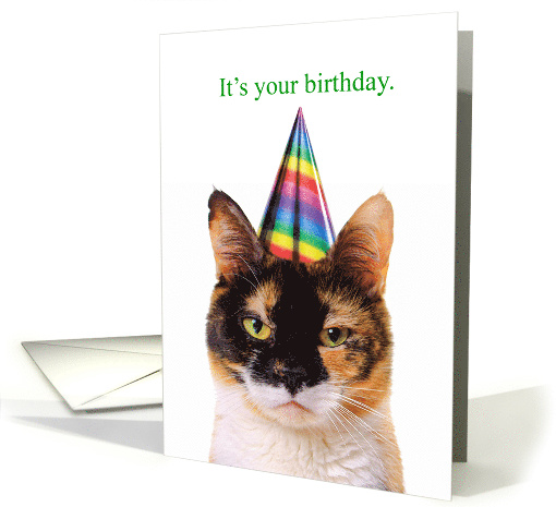 Birthday Grumpy Cat with Party Hat card (1829926)