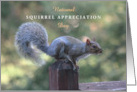 National Squirrel Appreciation Day Jan 21st with Cute Closeup Squirrel Blank Inside card