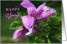 Happy Spring with Pretty Magenta Pink Magnolia Blooms and Green Leaves card