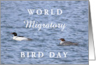 World Migratory Bird Day 2nd Sat in May with Common Mergansers card