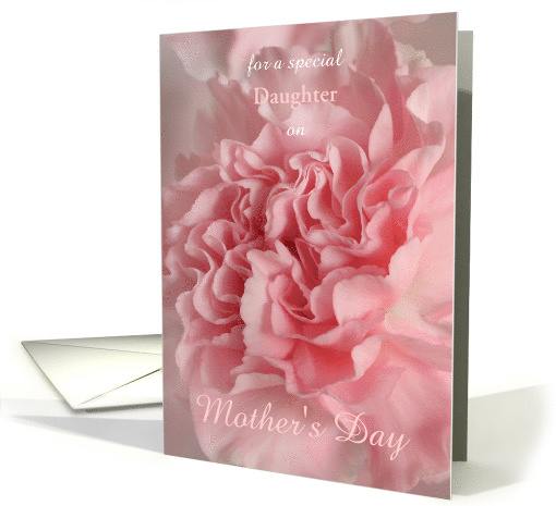 Pastel Pink Carnation Photo for a Special Someone on Mother's Day card