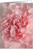 Pastel Pink Carnation Photo for a Special Someone on Mother’s Day card