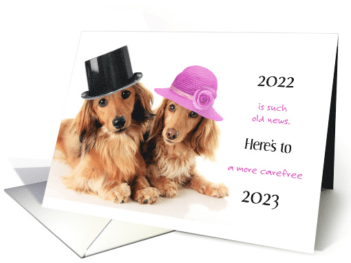 Cute Humorous Dressed Up Dachsund Dogs New Year's card (1647284)