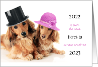 Cute Humorous Dressed Up Dachsund Dogs New Year’s Card