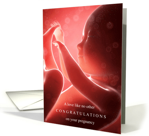 Niece Pregnancy Congrats a Love Like No Other Baby in Utero card