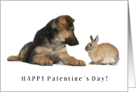 Happy Palentine’s Day Valentine with German Shepherd and Bunny card