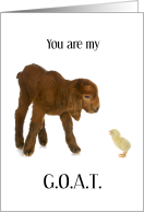 You Are My Greatest of All Time GOAT Valentine with Goat and Chick card