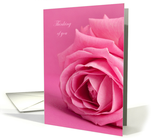 Thinking of You With Pretty Pink Rose and Pale Pink Background card