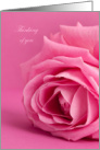 Thinking of You With Pretty Pink Rose and Pale Pink Background card
