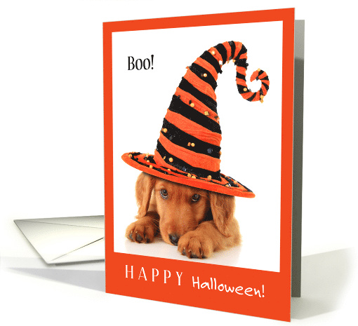 Happy Halloween You've Been Boo'd Dachsund Puppy Dog card (1697754)