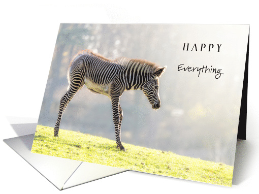 Happy Everything Baby Zebra in Bright Sunlight for Any Occasion card