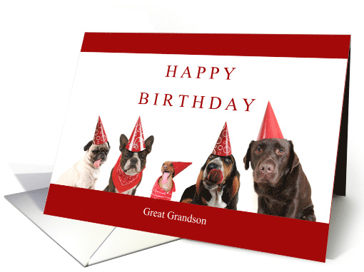 Happy Birthday Great Grandson with Dogs in Red Hats card (1738278)