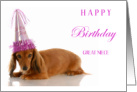 Happy Birthday Great Niece with Dachsund in Birthday Hat card