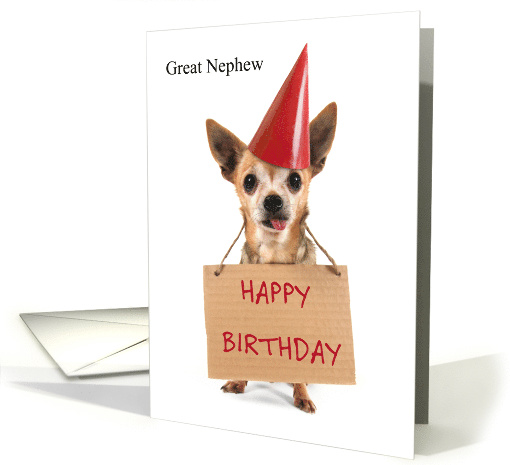 Happy Birthday Great Nephew with Chihuahua in Red Party Hat card