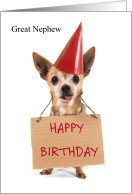Happy Birthday Great Nephew with Chihuahua in Red Party Hat card