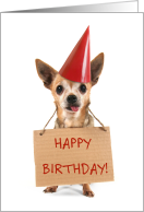 Happy Birthday Puppy Dog with Red Party Hat and Sign card