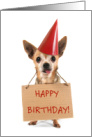 Happy Birthday Puppy Dog with Red Party Hat and Sign card