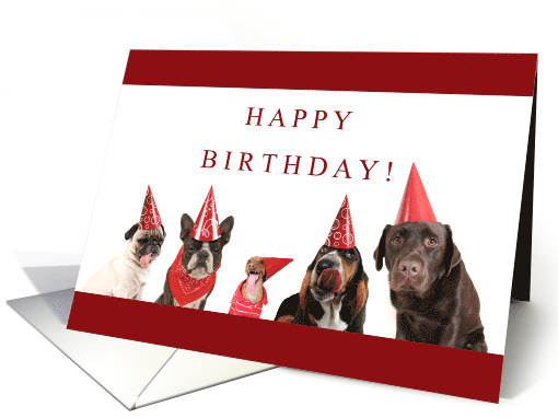Happy Birthday with Pug Chocolate Lab Puppy Dogs card (1741248)