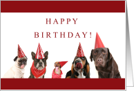 Happy Birthday with Pug Chocolate Lab Puppy Dogs card