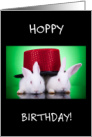 Hoppy Birthday with Two Cute White Gray Bunny Rabbits card