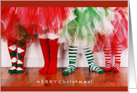 Cute Little Legs and Feet in Christmas Socks with Colorful Tutus card