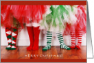 Cute Little Legs and Feet in Christmas Socks with Colorful Tutus card