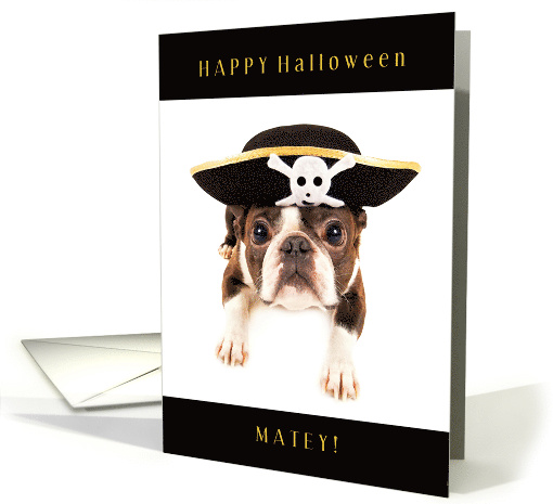 Happy Hallowwen Matey with French Bulldog in Pirate Hat card (1744766)