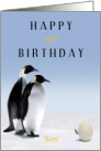 Happy 40th Expecting Birthday Son with Penguins and Hatching Egg card