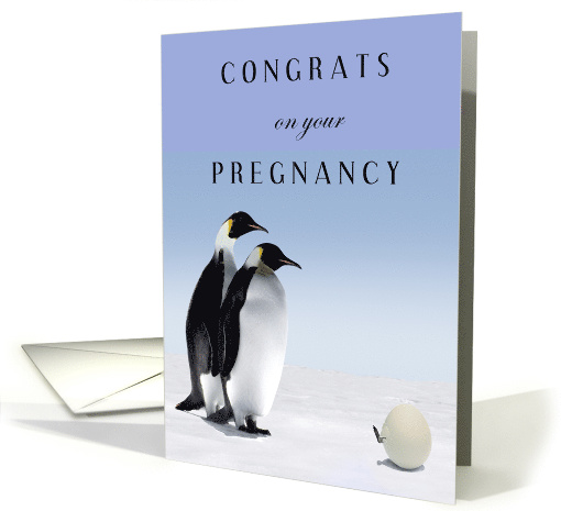 Pregnancy Congrats with Two Penguins and Birthing Chick in Egg card