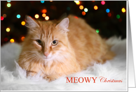 Merry MEOWY Christmas with adorable cat and Xmas Lights card