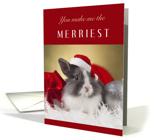 You Make Me the Merriest with Adorable Bunny Rabbit in... (1747568)