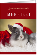 You Make Me the Merriest with Adorable Bunny Rabbit in Santa Claus Hat card