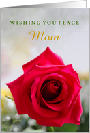 For Mom Any Relation in Remembrance of Husband’s Passing with Red Rose card