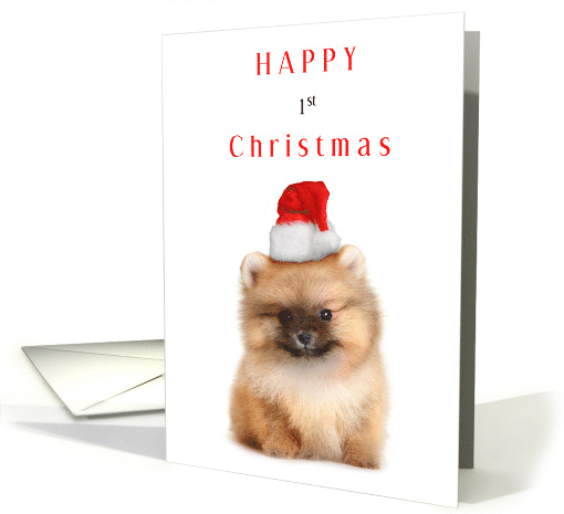 Happy First Christmas with Adorable Pomeranian in Santa Claus Hat card
