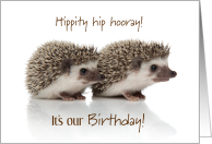Hippity Hip Hooray for Our Mutual Shared Birthday with 2 Cute Hedgehogs card
