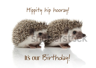 Hippity Hip Hooray...