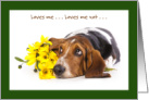 Loves Me Loves Me Not Basset Hound Puppy Dog Valentine card