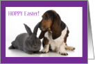 Hoppy Easter with Big Gray Bunny Rabbit and Basset Hound Puppy Dog card