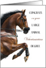 Congrats on Your Large Animal Veterinarian Degree with Jumping Horse card